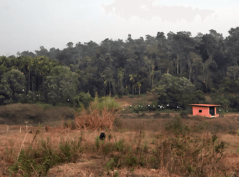 Land Registration