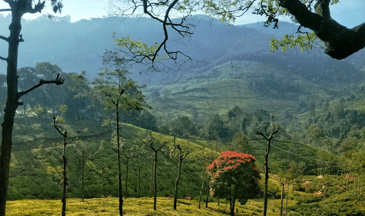 Sahya