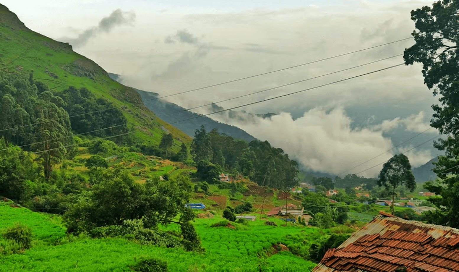 Sannidhi Ecofarms