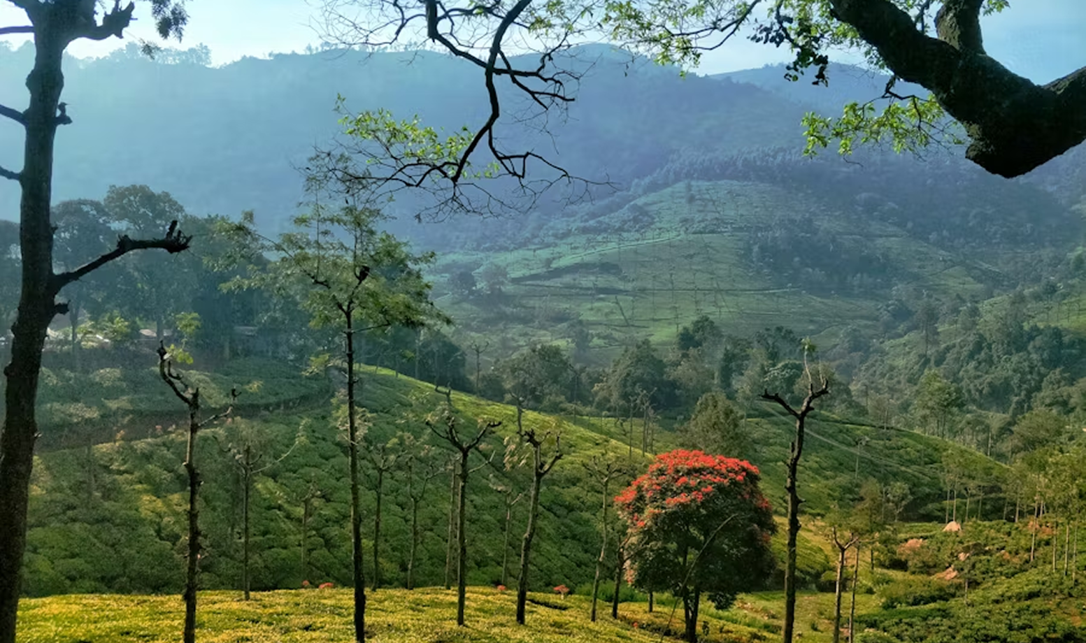 Sahya