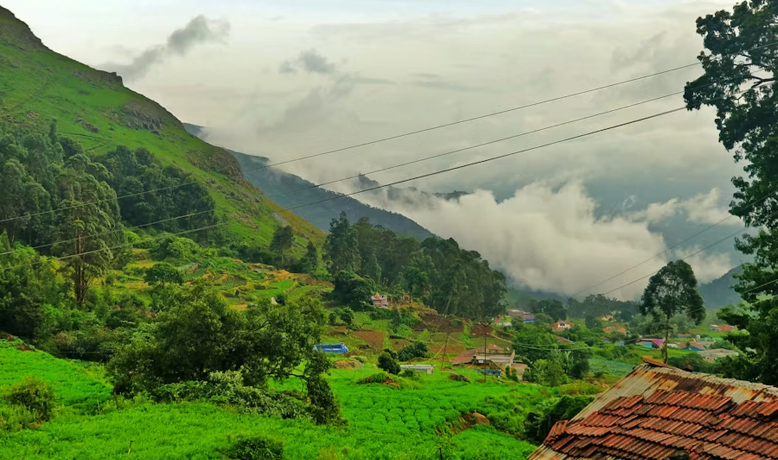 Sannidhi Ecofarms